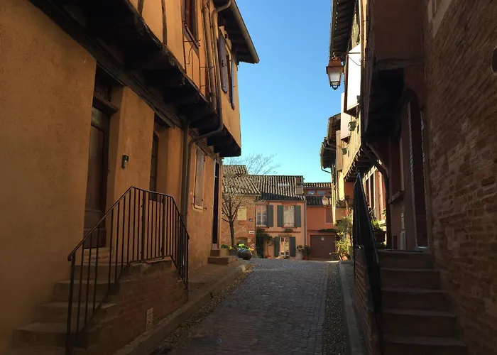 Le Castelviel 公寓 阿尔比