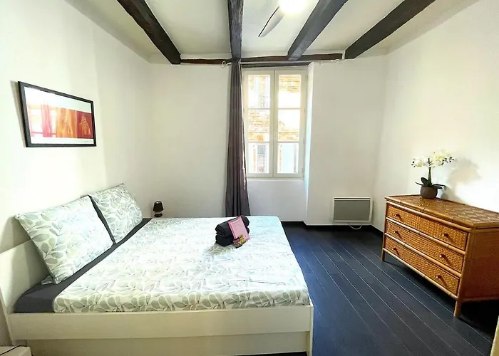 Le Castelviel 公寓