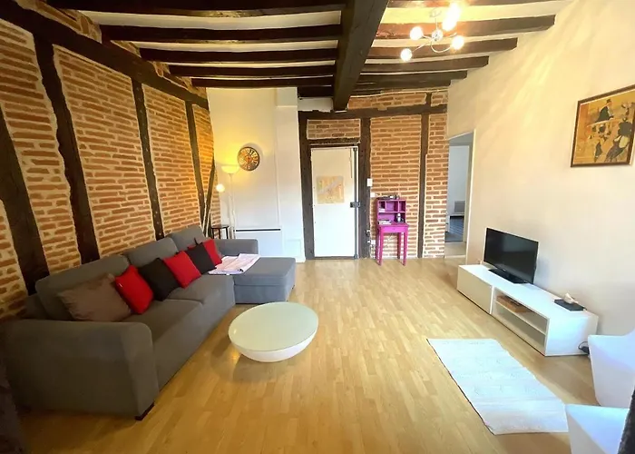 公寓 Le Castelviel 阿尔比