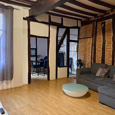Le Castelviel * Albi
