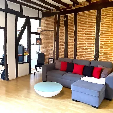 Le Castelviel Apartment Albi
